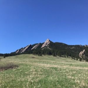 Meet your Posher, Reed